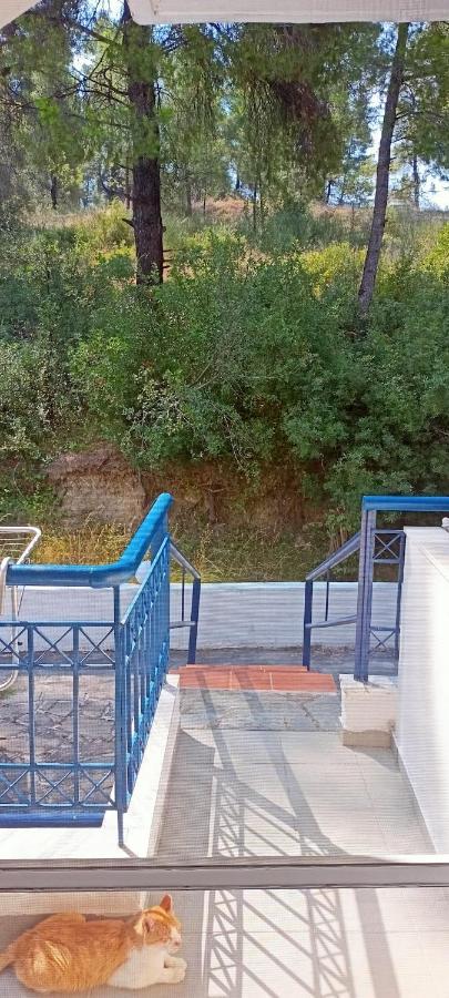 Siviri Sea & Forest-Cozy Apartment With Garden & Nature Views Exteriér fotografie